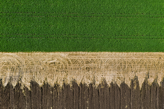 Aerial view of a patchwork of green fields meeting harvested land and dark soil creating a stark contrast Chyhyryns kyi district Cherkasy Oblast Ukraine. Aerial view of a patchwork of green fields meeting harvested land and dark soil creating a stark contrast Chyhyryns kyi district Cherkasy Oblast Ukraine.