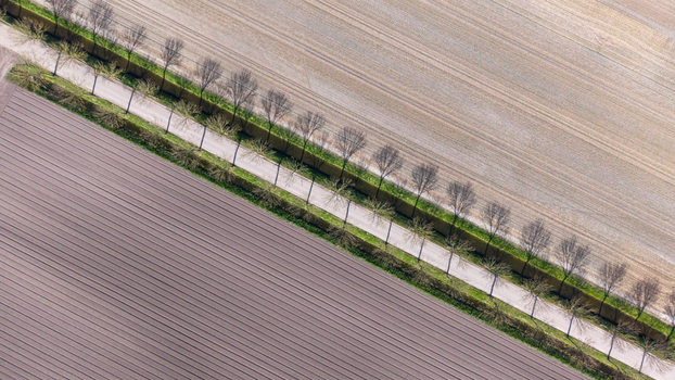 Aerial view of the straight road cutting through the patchwork of ploughed fields framed by slender trees Lambertschaag North Holland Netherlands. Aerial view of the straight road cutting through the patchwork of ploughed fields framed by slender trees Lambertschaag North Holland Netherlands.