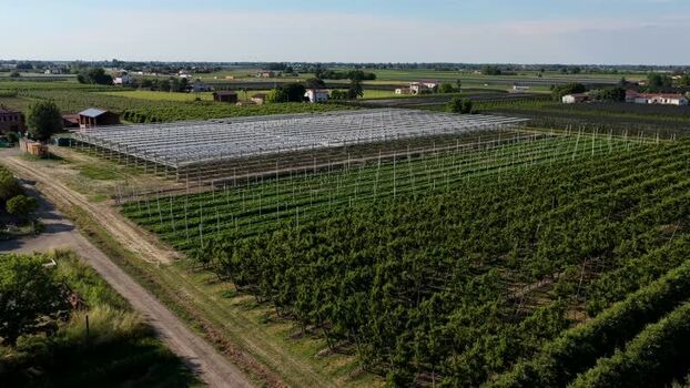 Aerial view of vineyard and greenhouse in Faenza Italy.