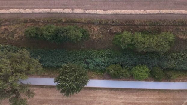 Aerial view of a narrow road and green trees Switzerland.