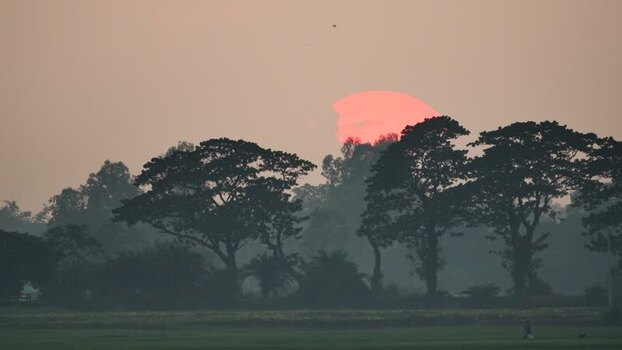 View of a large orange sun setting behind trees Bangladesh. View of a large orange sun setting behind trees Bangladesh.