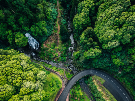 Aerial view of a winding road cutting through vibrant green forest alongside a stream cascading into a small waterfall Achada Açores Portugal. Aerial view of a winding road cutting through vibrant green forest alongside a stream cascading into a small waterfall Achada Açores Portugal.
