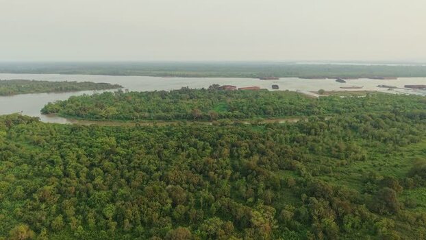 Aerial view of Delta Mahakam river delta Indonesia.