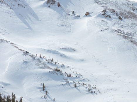 View of snow covered mountain slopes with zigzag ski tracks and sparse evergreen trees under bright sunlight in Colorado United States.