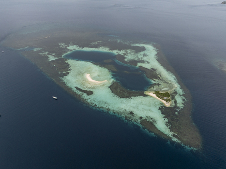Aerial view of Flores island surrounded by vibrant coral reefs and turquoise waters in East Nusa Tenggara Indonesia.