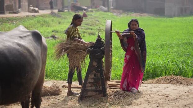 View of women using a manual fodder cutter in a rural field India.