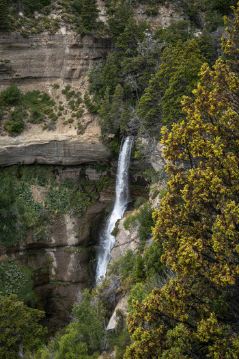 View of Cascada Nant y Fall cascading down a rocky cliff face surrounded by lush green trees and vegetation in Trevelin Chubut Argentina. View of Cascada Nant y Fall cascading down a rocky cliff face surrounded by lush green trees and vegetation in Trevelin Chubut Argentina.