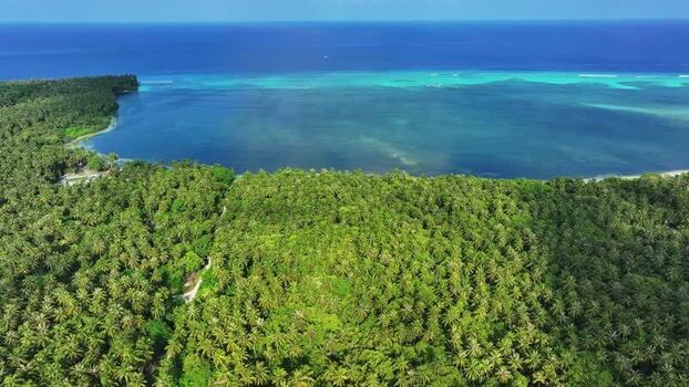 Aerial view of lush palm forest and turquoise lagoon Maldives. Aerial view of lush palm forest and turquoise lagoon Maldives.