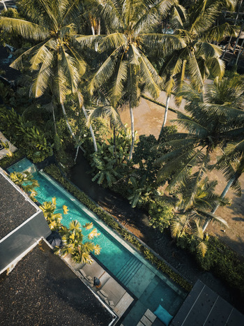 Aerial view of a turquoise swimming pool surrounded by lush palm trees and tropical vegetation in Ubud Bali Indonesia. Aerial view of a turquoise swimming pool surrounded by lush palm trees and tropical vegetation in Ubud Bali Indonesia.