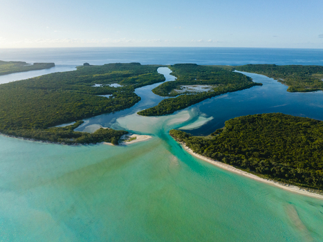 Aerial view of a shark nursery with turquoise waters meet lush green islands separated by sandy pathways creating a vibrant contrast of colors and textures Ouvéa Loyalty Islands Province New Caledonia. Aerial view of a shark nursery with turquoise waters meet lush green islands separated by sandy pathways creating a vibrant contrast of colors and textures Ouvéa Loyalty Islands Province New Caledonia.
