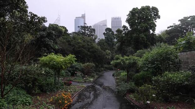 View of Royal Botanic Garden Sydney with city skyline Australia.