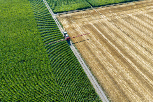 Aerial view of a tractor spraying a green corn field next to a harvested golden wheat field in the countryside Hombourg Grand Est France. Aerial view of a tractor spraying a green corn field next to a harvested golden wheat field in the countryside Hombourg Grand Est France.