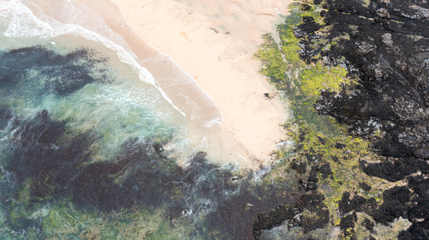 Aerial view of the sandy beach and mossy dark rocks at Constantine Bay with turquoise water in Padstow Cornwall United Kingdom. Aerial view of the sandy beach and mossy dark rocks at Constantine Bay with turquoise water in Padstow Cornwall United Kingdom.