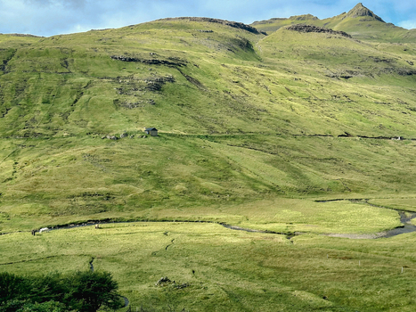 View of a small cabin nestled on a lush green hillside with a winding stream and grazing sheep in the Faroe Islands. View of a small cabin nestled on a lush green hillside with a winding stream and grazing sheep in the Faroe Islands.