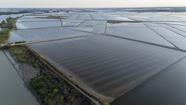 Aerial view of the flooded rice fields of Isla Minima with geometric patterns and agricultural plots near the river banks in Sevilla Andalucia Spain. Aerial view of the flooded rice fields of Isla Minima with geometric patterns and agricultural plots near the river banks in Sevilla Andalucia Spain.