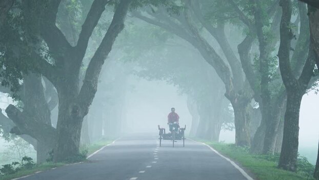View of a person on a road under a canopy of trees in fog Bangladesh.