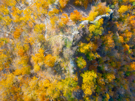 Aerial view of Maly Bezdez surrounded by vibrant autumn forest with golden and orange foliage on the rocky hillsides in Bezdez Liberecky kraj Czechia.
