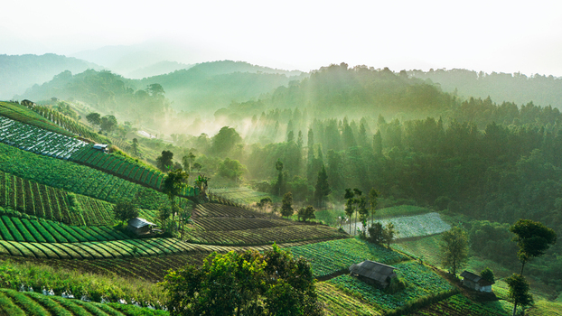 Aerial view of lush terraced vegetable plantations on a misty hillside with sunlight rays filtering through the forest trees Sukabumi West Java Indonesia. Aerial view of lush terraced vegetable plantations on a misty hillside with sunlight rays filtering through the forest trees Sukabumi West Java Indonesia.