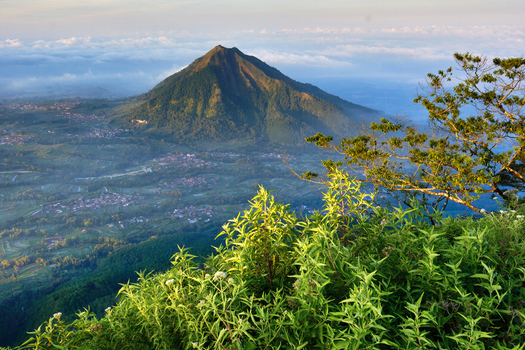 View of Mount Andong rising above terraced fields and a sea of clouds from a lush green hillside in Magelang Central Java Indonesia.