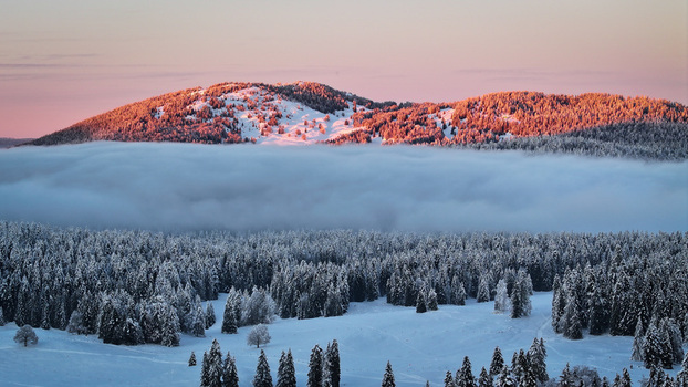 Aerial view of a snow covered forest meeting a dense layer of fog under a serene sky Saint Cergue Vaud Switzerland.