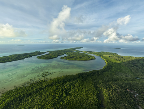 Aerial view of a lush green island embraced by the turquoise sea a tapestry of nature s finest hues Karimunjawa Central Java Indonesia.