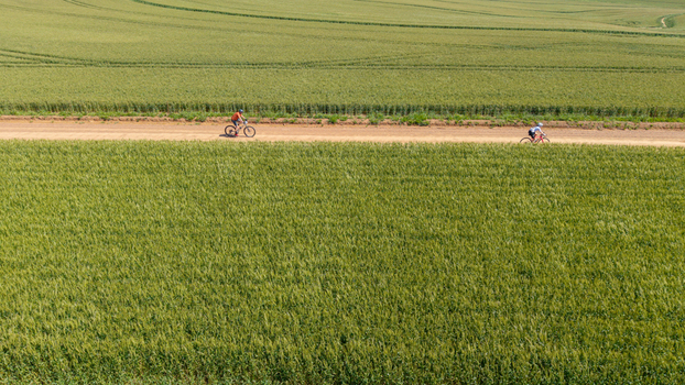 Aerial view of two cyclists riding mountain bikes along a dirt path through a vast green wheat field in the countryside in Greyton Western Cape South Africa.