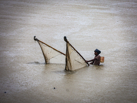 Cox s Bazar Chittagong Division Bangladesh 19 July 2026 View of a fisherman standing in murky floodwaters using traditional triangular fishing nets during a heavy rainstorm. Cox s Bazar Chittagong Division Bangladesh 19 July 2026 View of a fisherman standing in murky floodwaters using traditional triangular fishing nets during a heavy rainstorm.