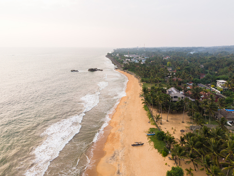 Aerial view of a sandy beach coastline with ocean waves crashing on the shore and palm trees lining the coast in Galle Southern Province Sri Lanka.