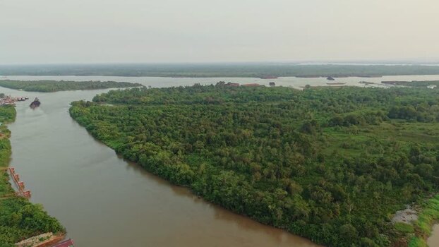 Aerial view of Delta Mahakam river delta in Indonesia.