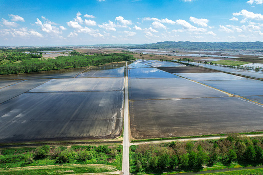 Aerial view of flooded rice fields with a straight road and cloud reflections under a blue sky near Abbazia di Lucedio in Trino Piemonte Italy.