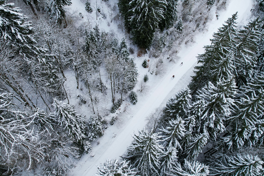 Aerial view of Grand Paradis with snow covered pine trees and two people skiing on a white path in Champery Valais Switzerland. Aerial view of Grand Paradis with snow covered pine trees and two people skiing on a white path in Champery Valais Switzerland.