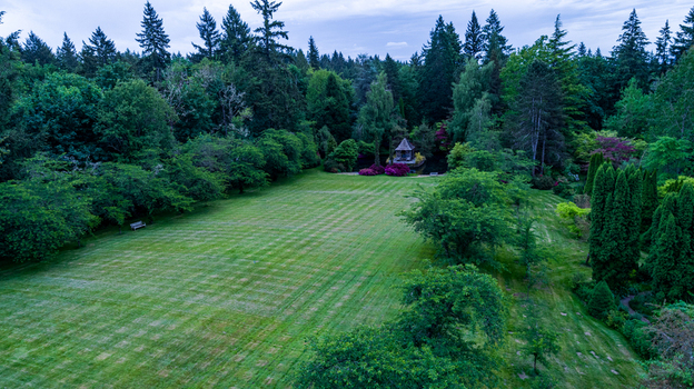 Aerial view of a manicured green lawn surrounded by dense evergreen trees and a small garden gazebo in Portland Oregon United States. Aerial view of a manicured green lawn surrounded by dense evergreen trees and a small garden gazebo in Portland Oregon United States.