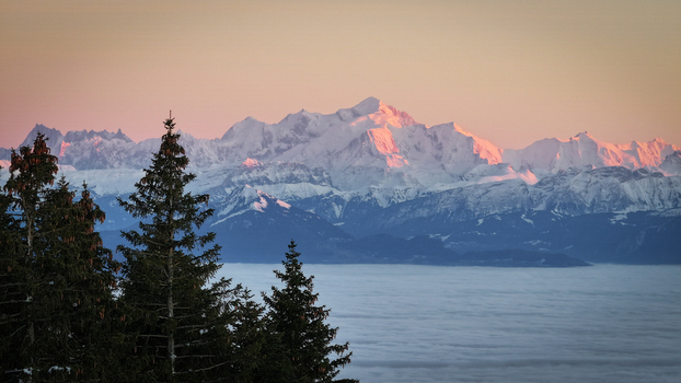 Aerial view of the Mont Blanc massif with snow capped peaks glowing in pink sunset light above a sea of clouds and evergreen trees in Chamonix Auvergne Rhone Alpes France. Aerial view of the Mont Blanc massif with snow capped peaks glowing in pink sunset light above a sea of clouds and evergreen trees in Chamonix Auvergne Rhone Alpes France.