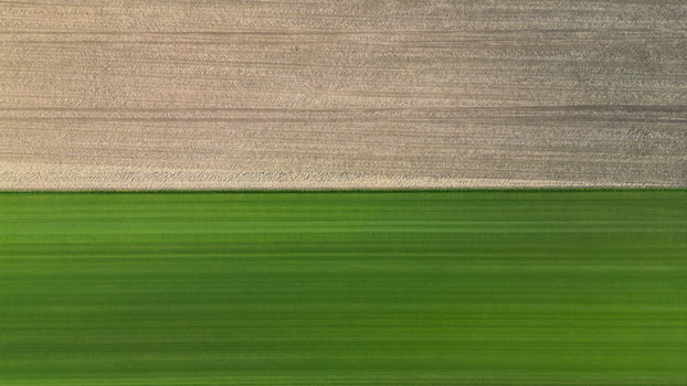 Aerial view of contrasting agricultural field patterns with vibrant green crops adjacent to tilled brown soil in the United Kingdom.