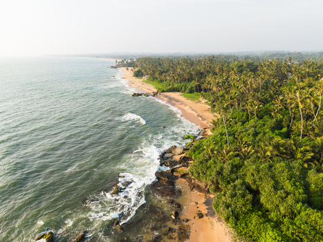 Aerial view of a tropical coastline with waves crashing against rocky shores and dense palm tree forests under a hazy sky in Galle Southern Province Sri Lanka.