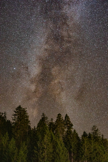 View of the Milky Way galaxy stretching across the night sky above a dense coniferous forest in the Swiss Alps near Airolo Ticino Switzerland. View of the Milky Way galaxy stretching across the night sky above a dense coniferous forest in the Swiss Alps near Airolo Ticino Switzerland.
