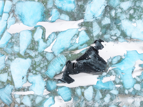 Aerial view of a dark form resting amidst the fractured icy expanse where turquoise shards meet the stark white landscape &Ouml;r&aelig;fi Iceland.