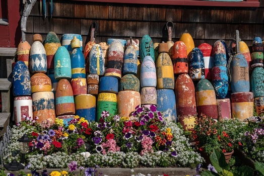 View of colorful weathered lobster buoys hanging on a wooden shingle wall with vibrant blooming flowers in the foreground in Edgartown Massachusetts United States.