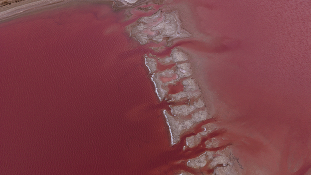 Aerial view of the vibrant pink waters of Hutt Lagoon with intricate salt crust patterns and mineral deposits in Kalbarri Western Australia Australia. Aerial view of the vibrant pink waters of Hutt Lagoon with intricate salt crust patterns and mineral deposits in Kalbarri Western Australia Australia.