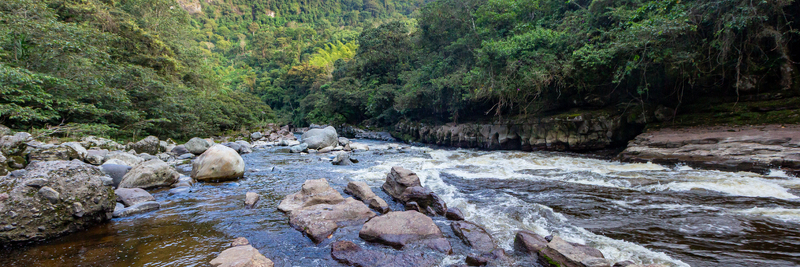 View of Estrecho del Rio Magdalena with rushing water flowing through a narrow rocky canyon surrounded by dense tropical forest in San Agustin Huila Colombia.