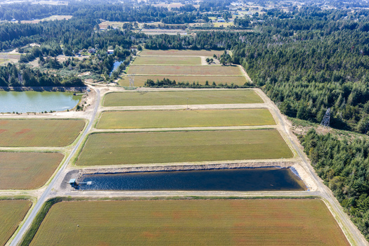 Aerial view of cranberry bogs with rectangular fields irrigation ponds and surrounding evergreen forests in Bandon Oregon United States. Aerial view of cranberry bogs with rectangular fields irrigation ponds and surrounding evergreen forests in Bandon Oregon United States.