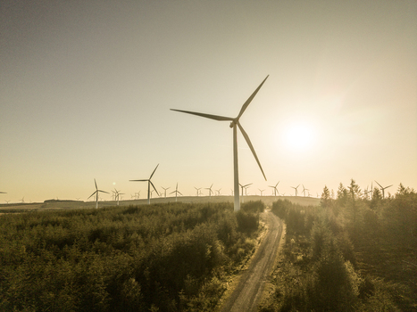 Aerial view of wind turbines at Eaglesham moor standing over a dense forest and a dirt track during a golden sunset Kilmarnock Scotland United Kingdom.