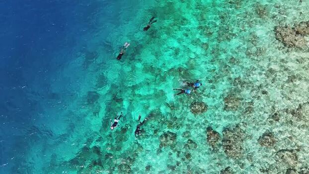 Aerial view of people snorkeling in turquoise water over a coral reef Maldives Aerial view of people snorkeling in turquoise water over a coral reef Maldives