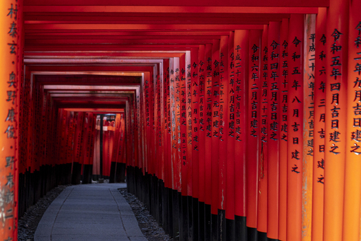 View of the vibrant red Senbon Torii gates with black inscriptions lining a stone path at Fushimi Inari taisha in Kyoto Kyoto Japan.