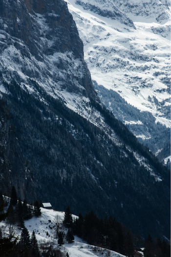 View of snow dusted peaks rise in stark contrast to the dark textured forests clinging to the mountainside a serene alpine landscape Wengen Switzerland. View of snow dusted peaks rise in stark contrast to the dark textured forests clinging to the mountainside a serene alpine landscape Wengen Switzerland.