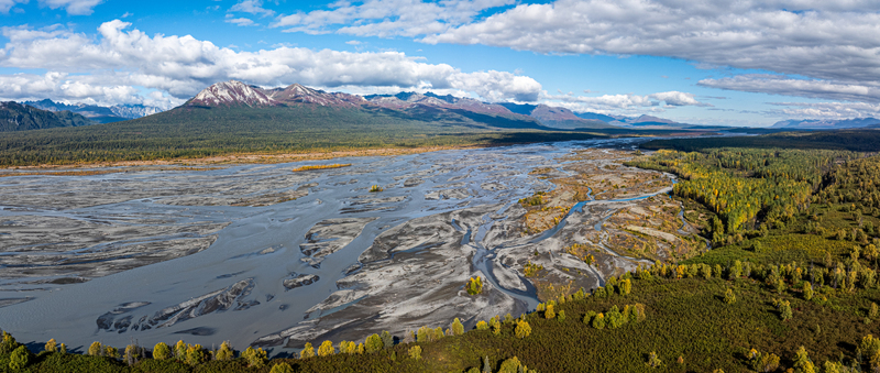 Aerial view of the Chulitna River with its extensive braided channels and gravel bars winding through the autumn landscape of Matanuska Susitna Borough Alaska United States.