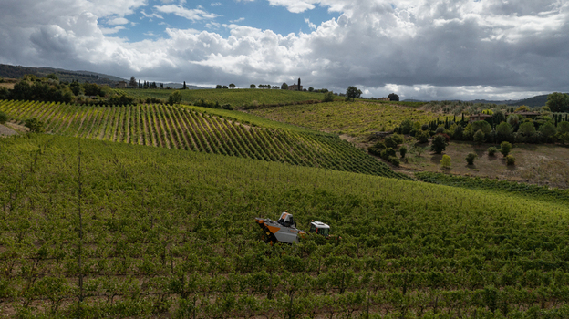 Aerial view of a grape harvester working in a lush vineyard among the rolling hills and rows of vines under a cloudy sky in Greve in Chianti Tuscany Italy. Aerial view of a grape harvester working in a lush vineyard among the rolling hills and rows of vines under a cloudy sky in Greve in Chianti Tuscany Italy.