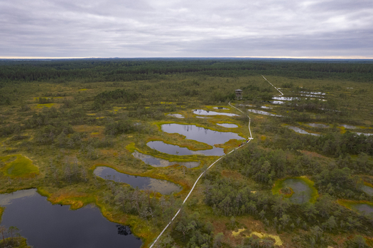 Aerial view of Viru bog nature trail with its wooden boardwalk winding through the wetland small pools of water and an observation tower in Loksa Harju maakond Estonia. Aerial view of Viru bog nature trail with its wooden boardwalk winding through the wetland small pools of water and an observation tower in Loksa Harju maakond Estonia.