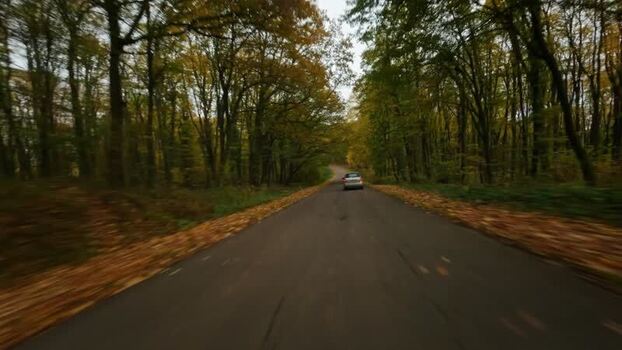 FPV aerial view of road in Fruska Gora Serbia. FPV aerial view of road in Fruska Gora Serbia.