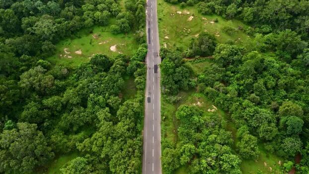 Aerial view of a road through a lush forest in Sri Lanka.